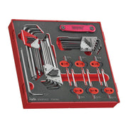 Teng Tools 42 Piece Metric and SAE Hex and Torx Allen Key Wrench Foam Set - TEDHT42