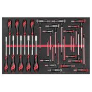 Teng Tools 23 Piece Metric Nut Driver and T Handle Hex and (TX/TPX) Wrench Key EVA Foam Set - TTEX23N