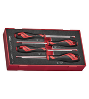 Teng Tools TEAMD04TXN - Juego de 4 destornilladores de cabeza de punta Torx (TX) de tamaño mixto, espuma EVA