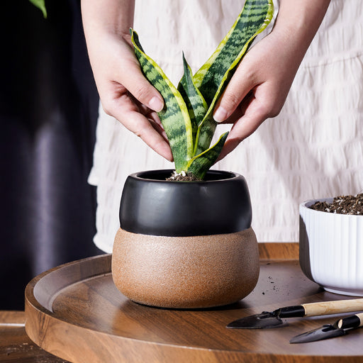 https://cdn.shopify.com/s/files/1/2553/1740/products/jofamy-5.3-matte-black-glazed-ceramic-planter-pot-with-drainage-hole-and-rubber-plug-2_512x512.jpg?v=1658484150