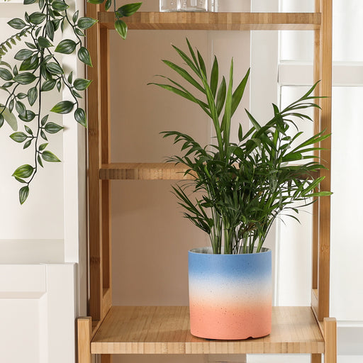 https://cdn.shopify.com/s/files/1/2553/1740/products/jofamy-gradient-color-ceramic-planter-pots-for-small-indoor-plants-flowers-2_512x512.jpg?v=1659585229