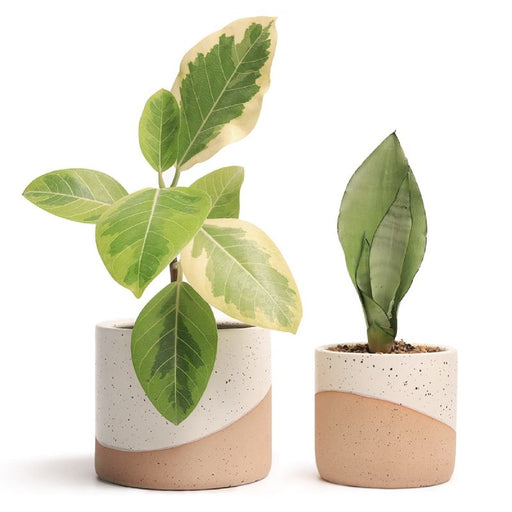 https://cdn.shopify.com/s/files/1/2553/1740/products/jofamy-modern-boho-ceramic-planter-pots-cylinder-ceramic-flower-pots-with-drainage_512x512.jpg?v=1659585179