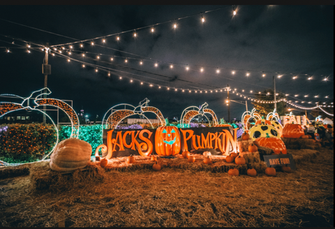 jacks pumpkin pop up