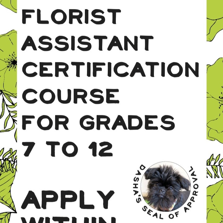 Florist Assistant Certification Course Chartreuse Flower Works