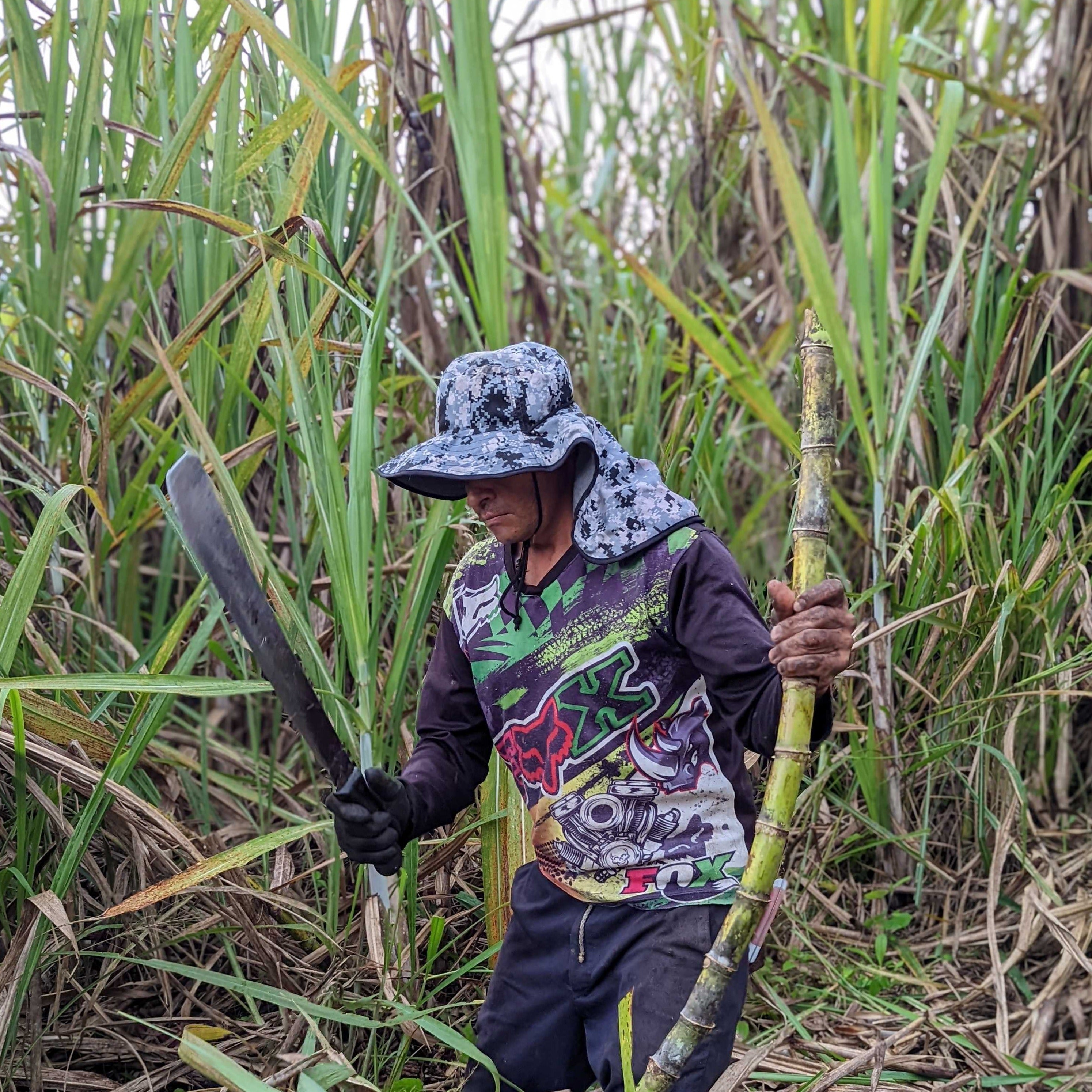 Panela Cane Sugar – Burlap & Barrel