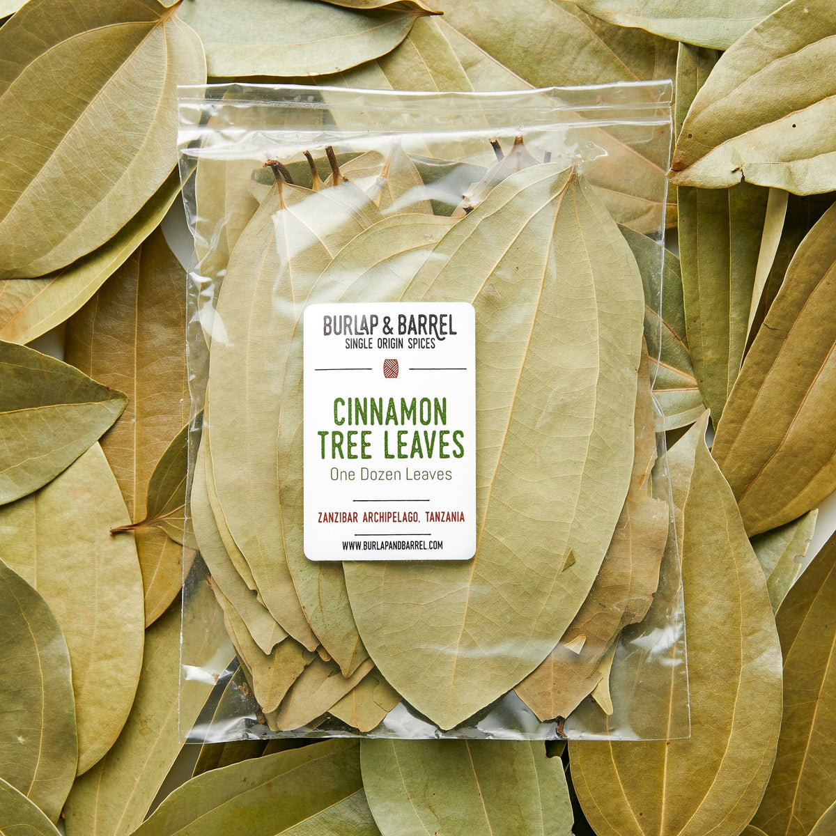 https://cdn.shopify.com/s/files/1/2554/1458/products/CINNAMON-TREE-LEAVES---LEAVES_600x600@2x.jpg?v=1599360889