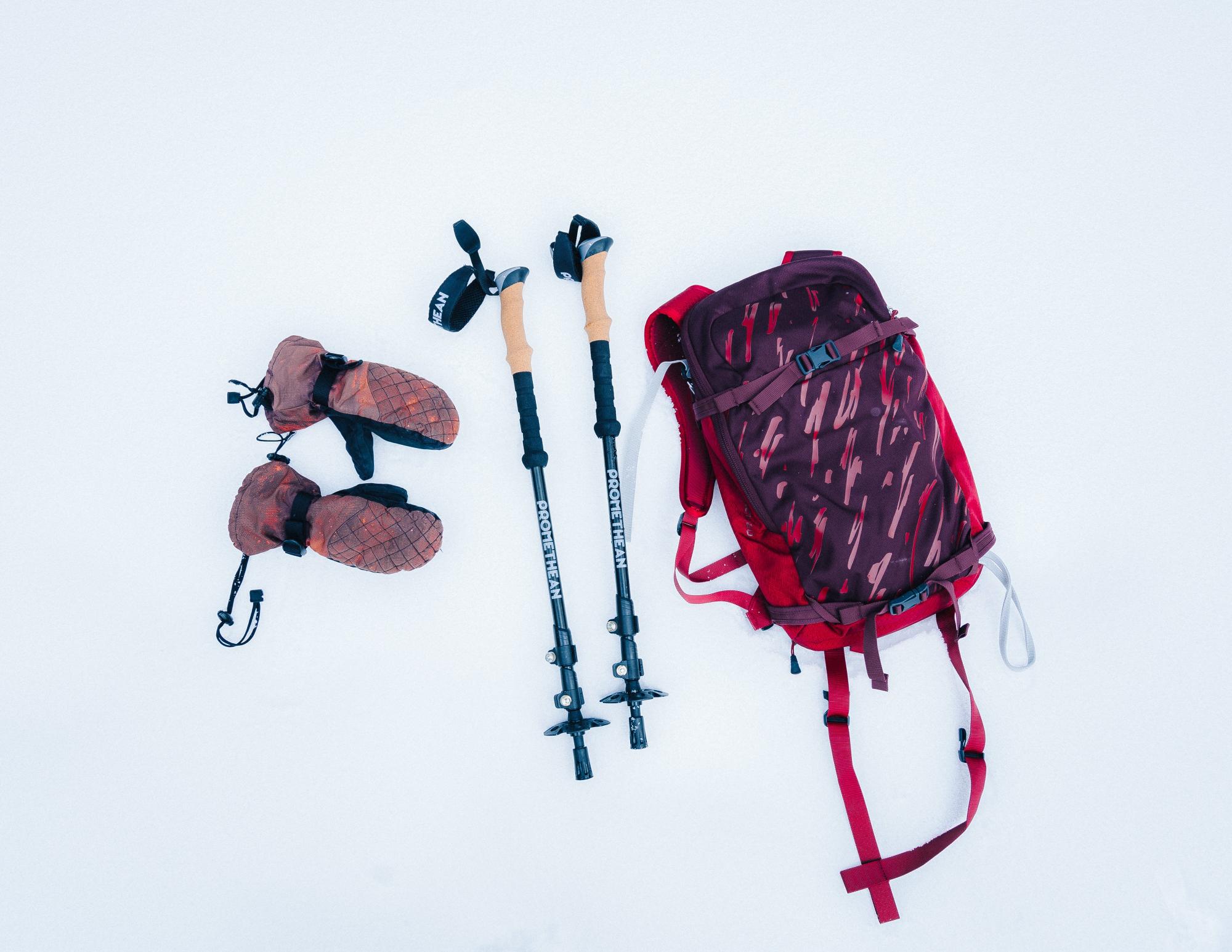 north pak trekking pole