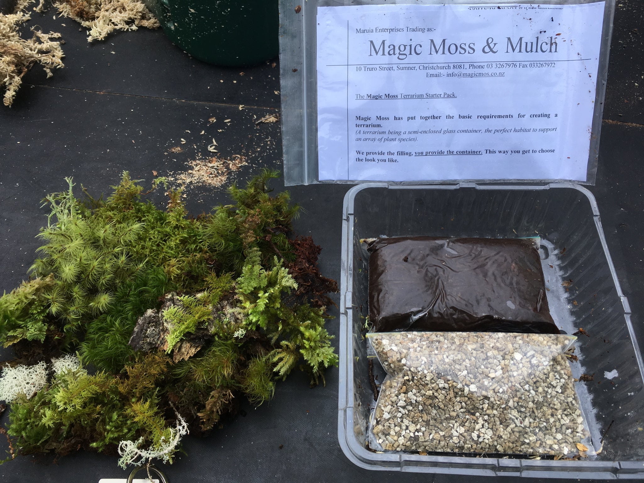 Terrarium Fairy Garden Starter Kit Magic Moss And Mulch