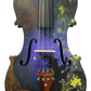 Rozanna's Violins Wizard Violin Outfit