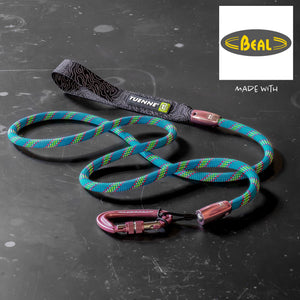 custom climbing rope dog leash carabiner
