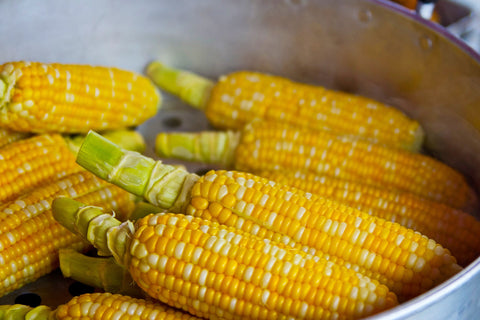 Non-GMO Corn