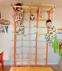 Home Play Gyms For Kids Brainrich Kids