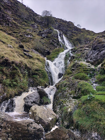 Moss Force Watefall - Zalinah White image credit Phil Kelly