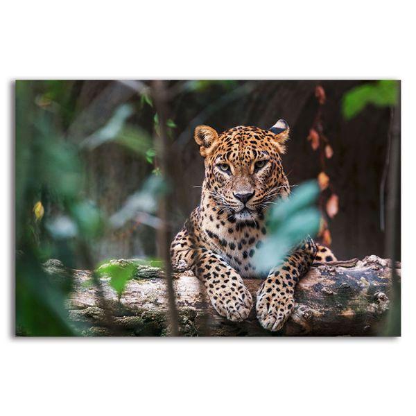 Get Fierce Jungle Leopard 1 Panel Canvas Wall Art – canvasx.net