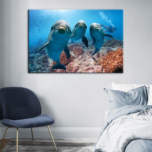 Shop Dolphins Under The Ocean Canvas Wall Art Canvasx Net