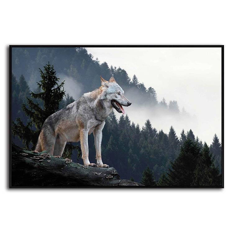 Lone Wild Gray Wolf Canvas Wall Art | Animal Print – canvasx.net