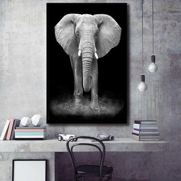 Elephant In Black White Canvas Wall Art Canvasx Net