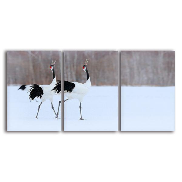 20++ Best Crane wall art images info