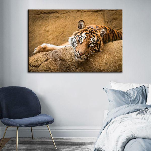 Shop Relaxed Wild Tiger Canvas Wall Art Online Canvasx Net