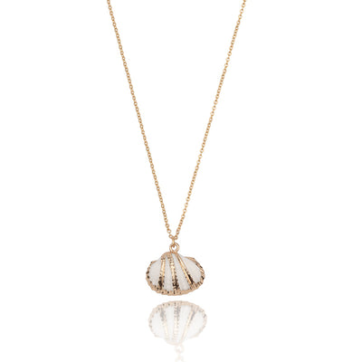 Scallop Shell Necklace