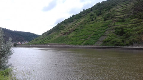 A ride along the banks of the Mosel - Black Forest Motorbike Tour