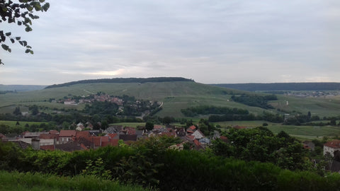 The vineyards of the Champagne region - Black Forest & Vosges Motorbike Tour