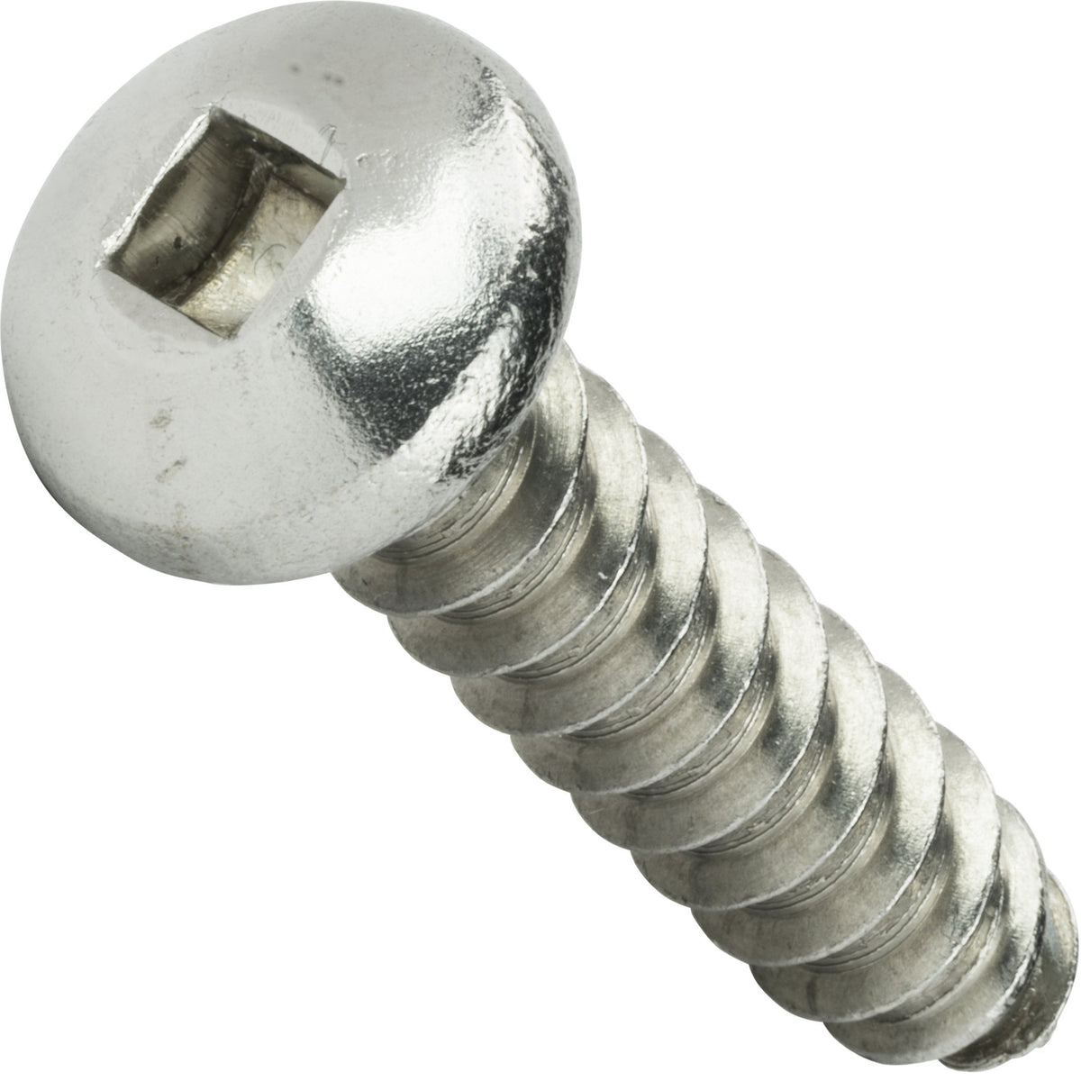 stainless steel screws home depot