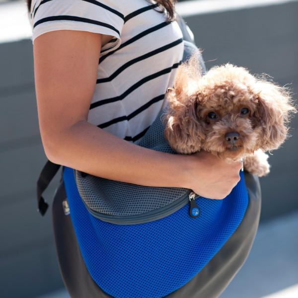 wacky paws pet carrier