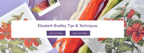 Elizabeth Bradley Tips & Techniques video page banner