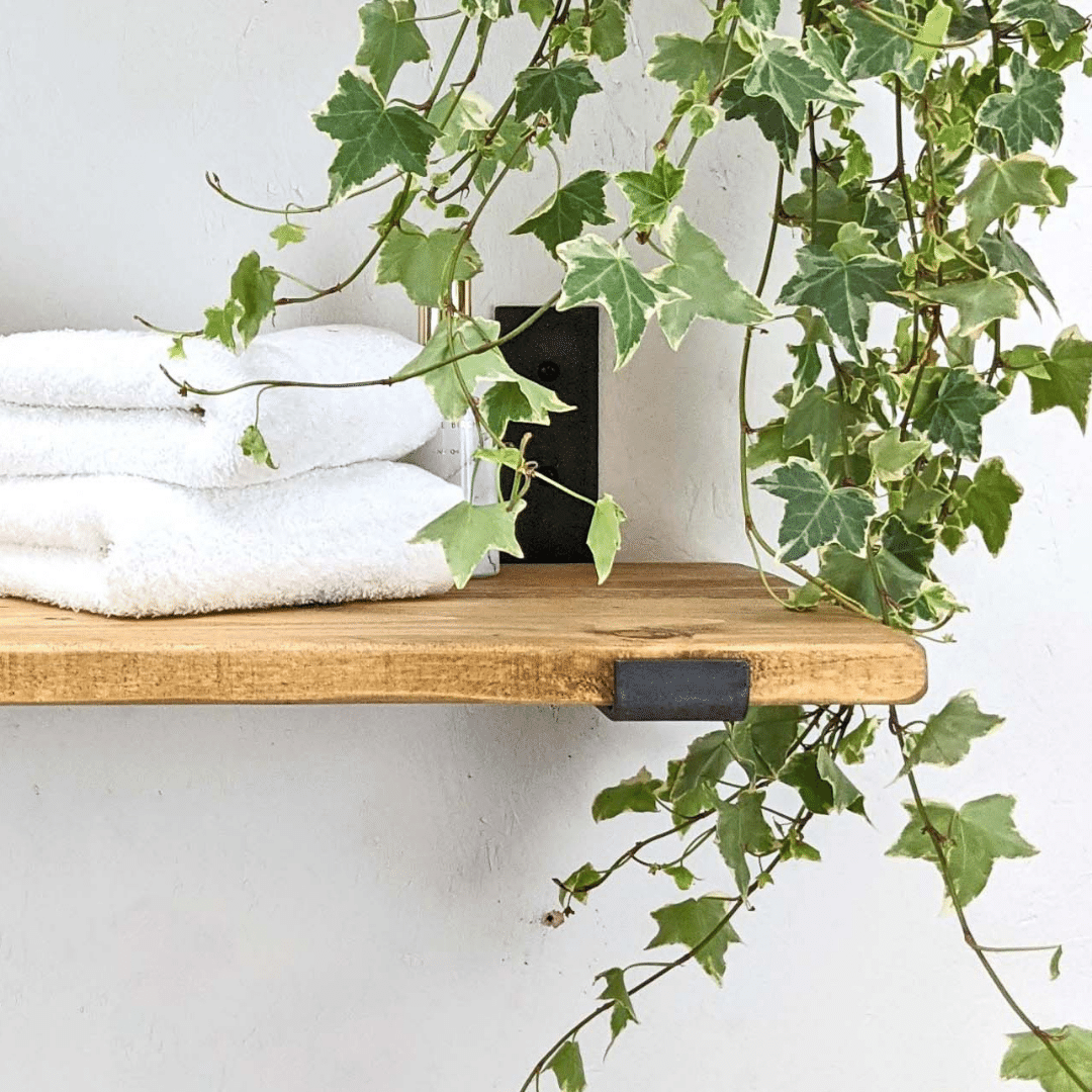 Plants with Rustic Shelving