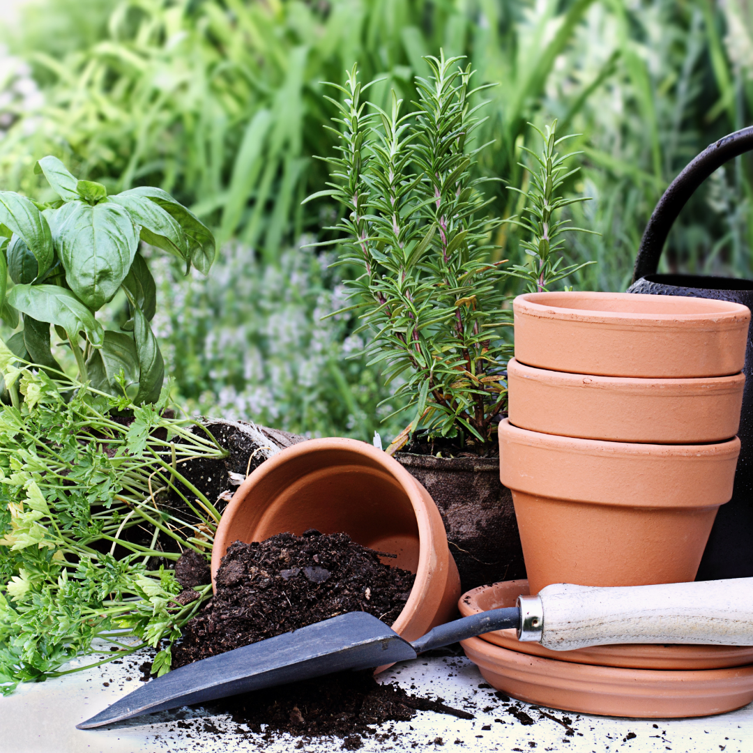 Herb Garden