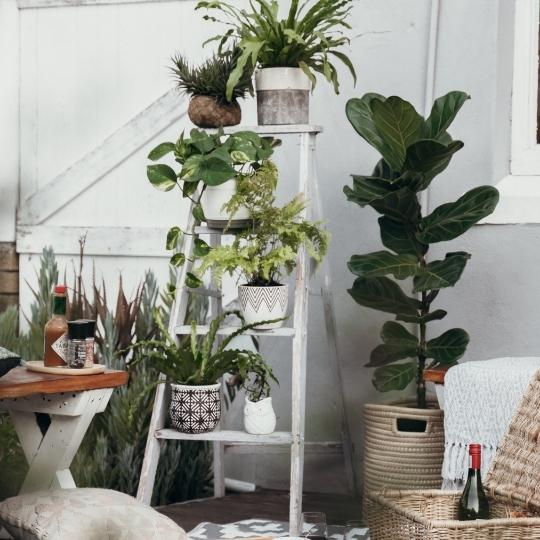 Autumn home table