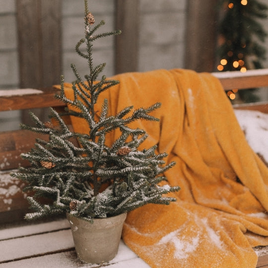 Autumn home table