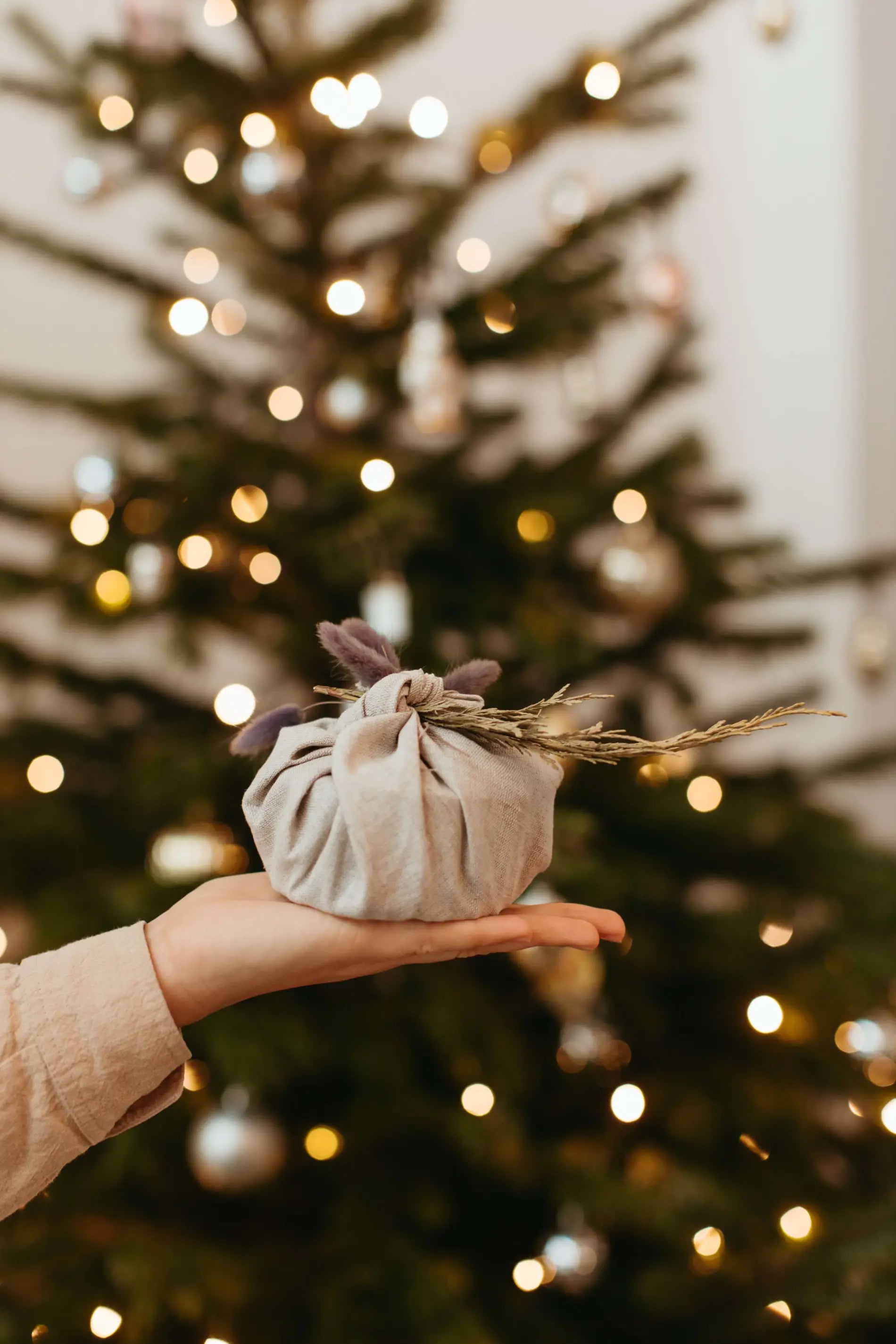 Sustainable Christmas Gift Wrapping Ideas