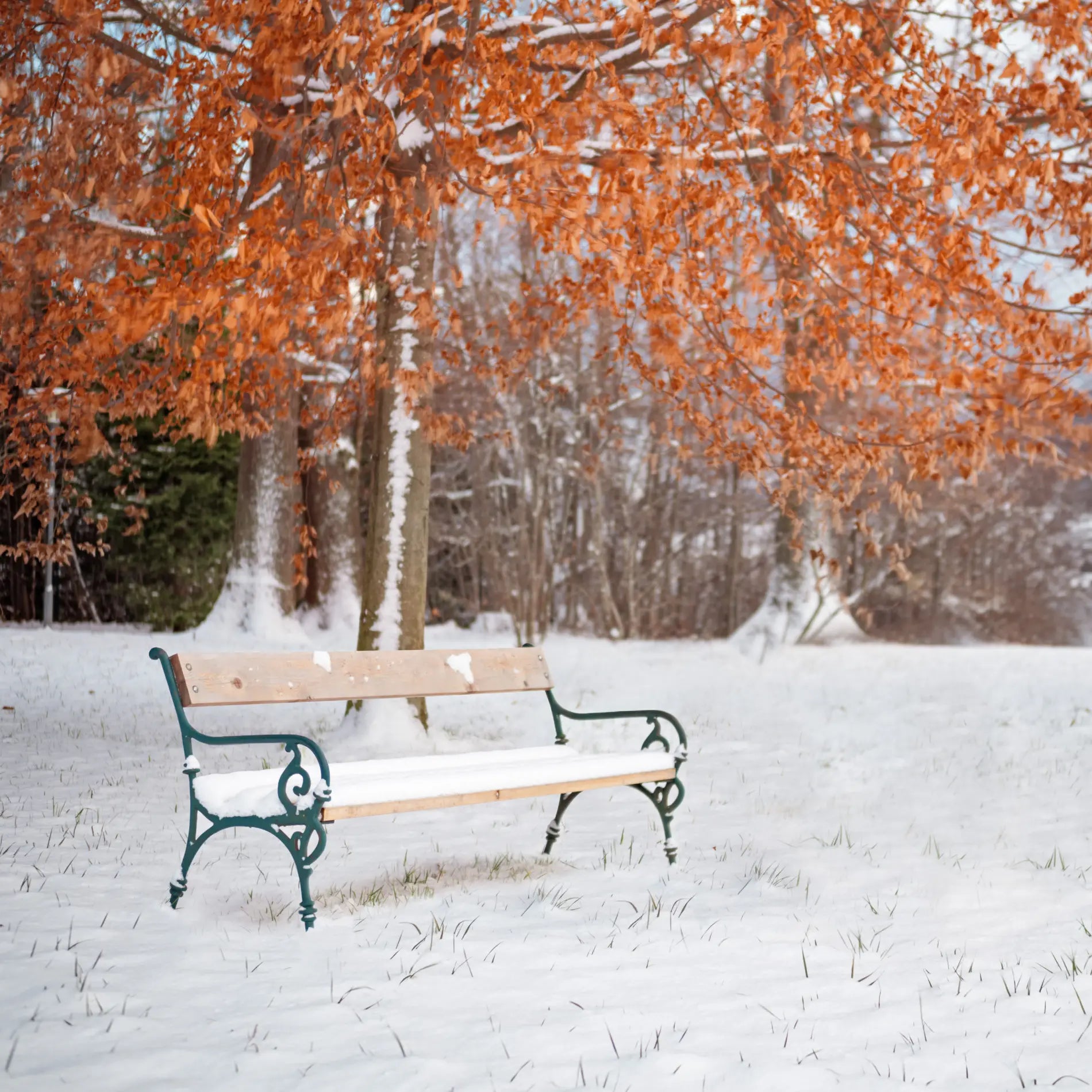 protecting outdoor furniture in the winter