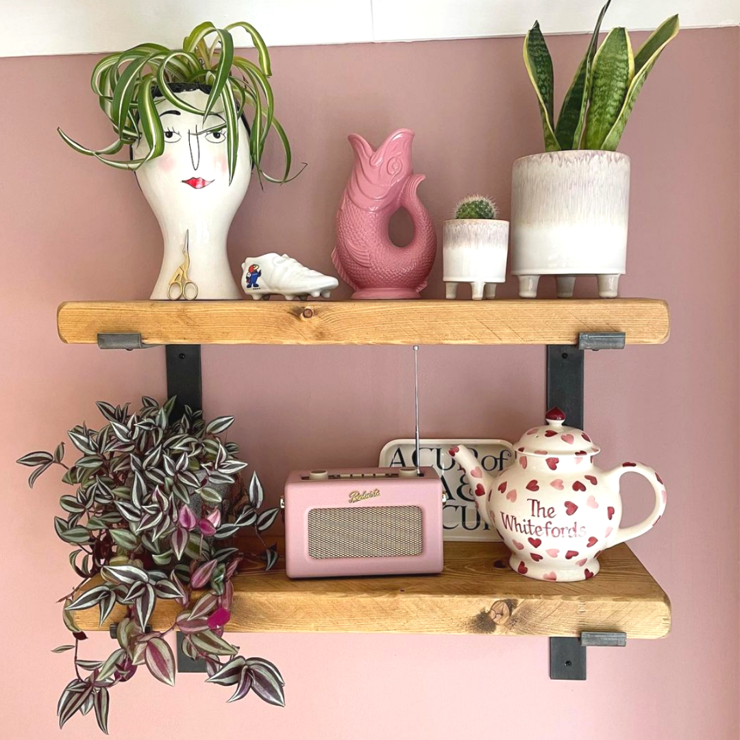 Rustic Shelves on Pink Paint