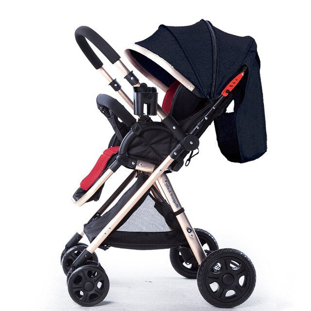 baby strollers for two