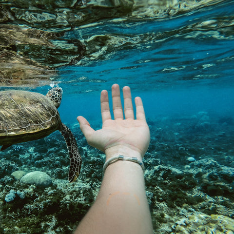 Hand underwater with sea turtle wearing Legend Coral Bracelet