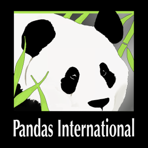 Panda International logo