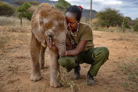 Reteti Rescue worker with a tiny elephant calf. 