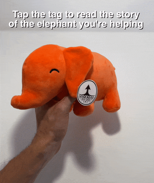 tap your elephant plushie to see elephant you are helping
