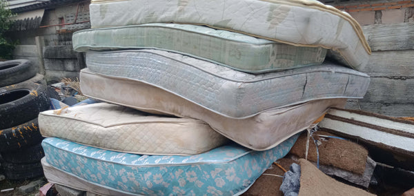 proper mattress disposal Dynasty
