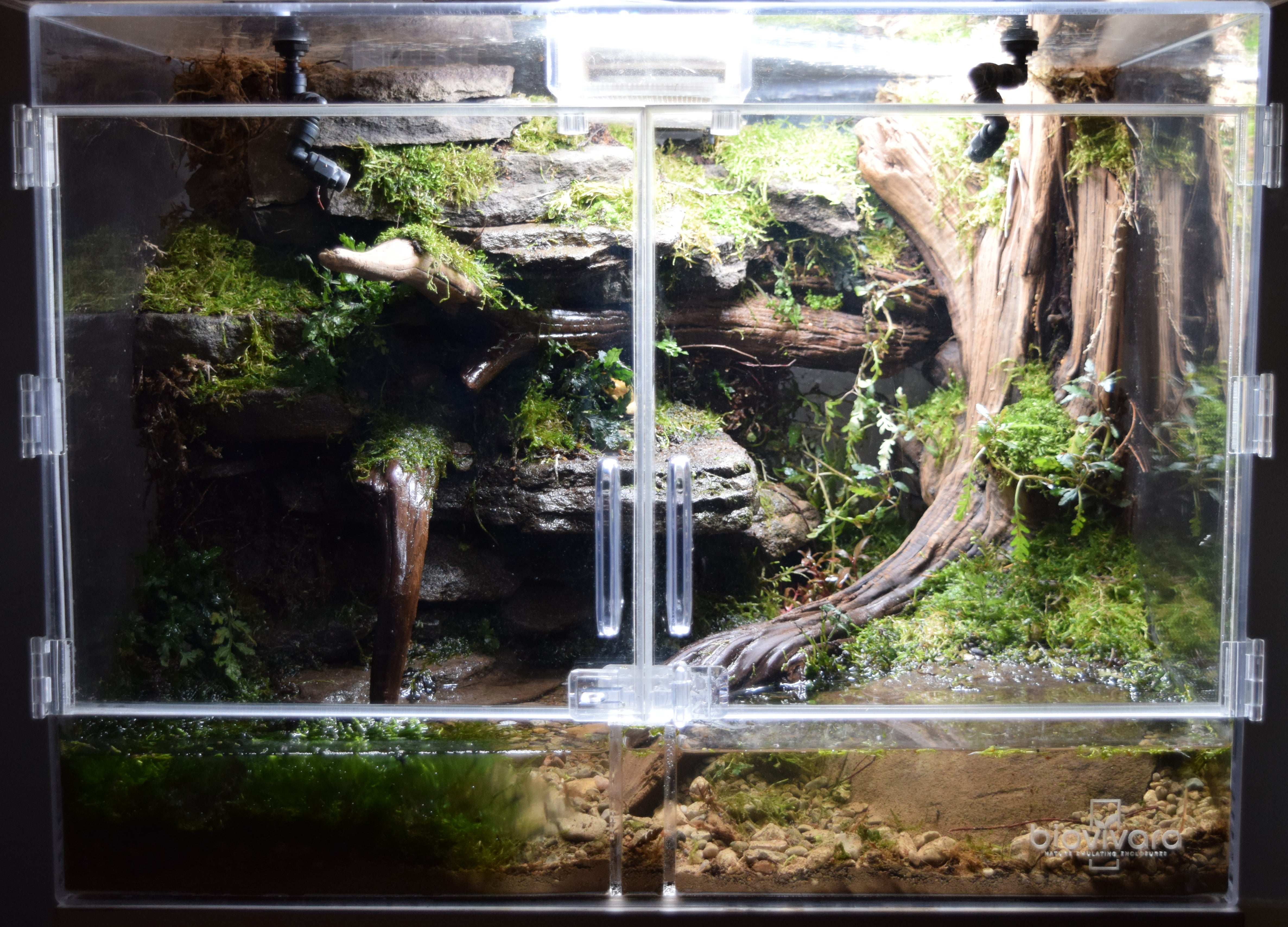Large Naturalistic Enclosure Starter Kit - Deluxe