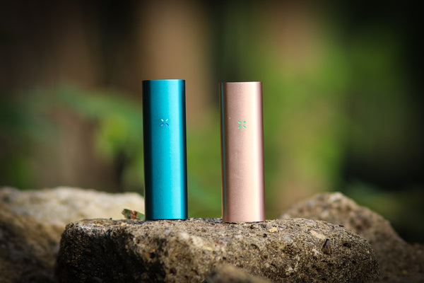 Best vaporizers for beginners. Pax 3 dry herb portable