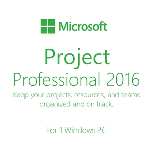 Microsoft Project Professional 16 Techwarecity
