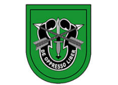 10th SFG logo