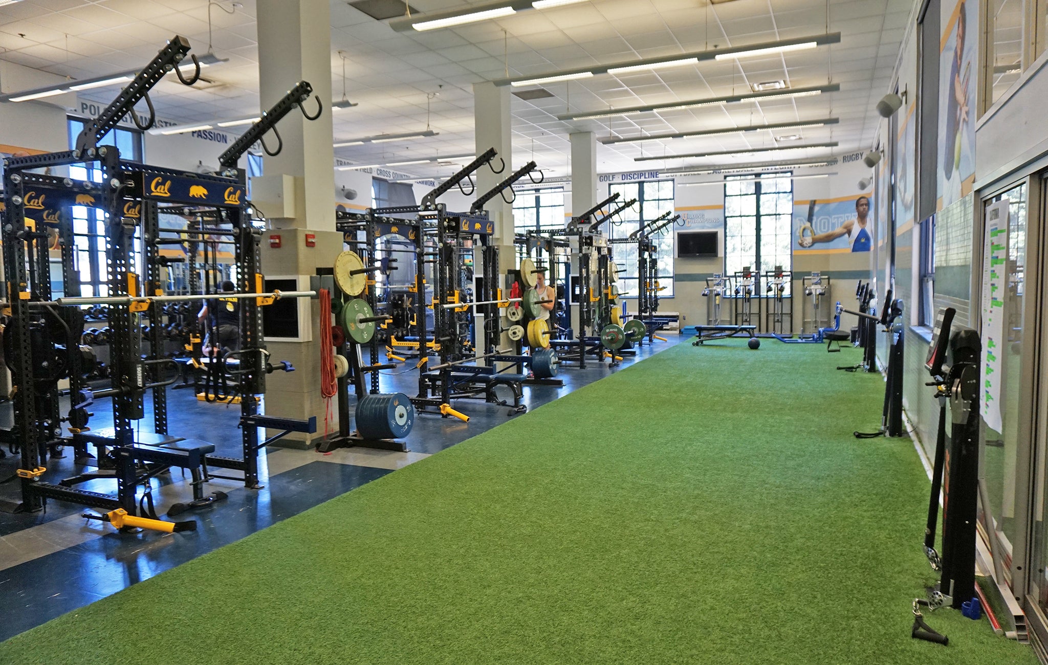 University of California Olympic Weight Room
