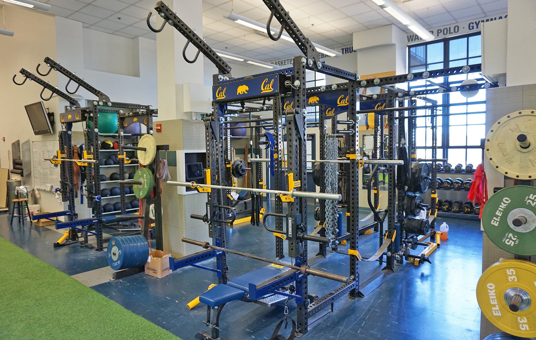 University of California strength and conditioning