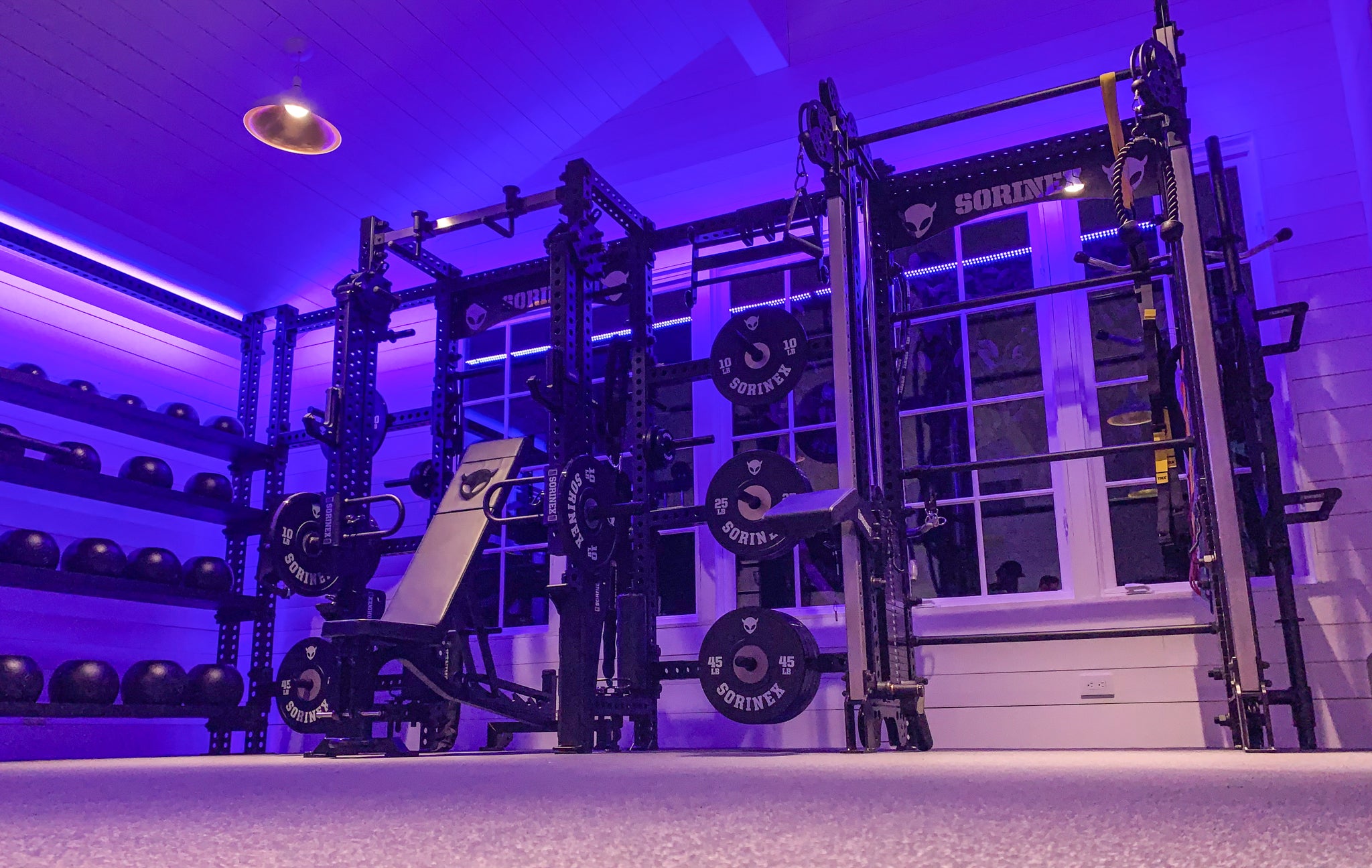 Joe Rogan Home Gym