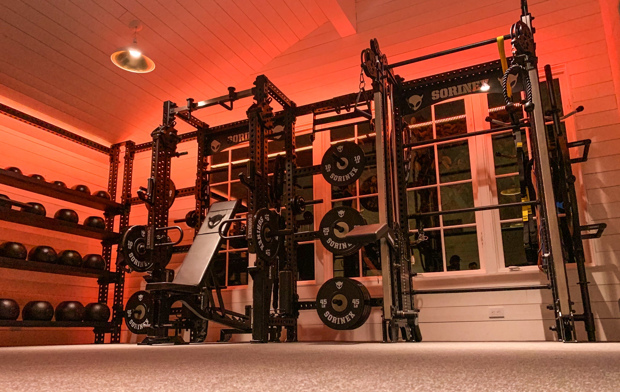 Joe Rogan Home Gym